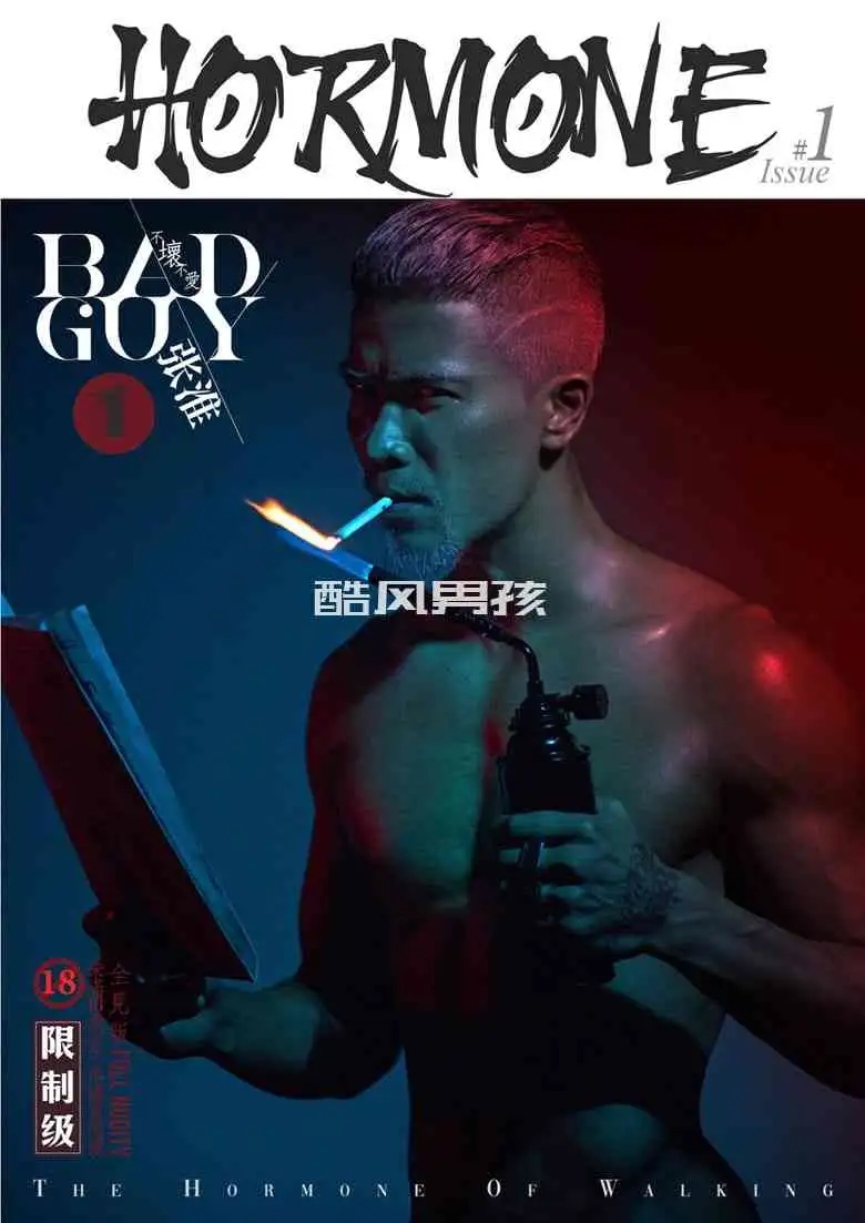 HORMONE NO.01 BAD GUY-张淮 | 写真